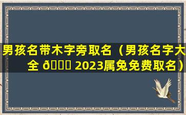 男孩名带木字旁取名（男孩名字大全 🐈 2023属兔免费取名）